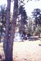 396.jpg (80886 bytes)